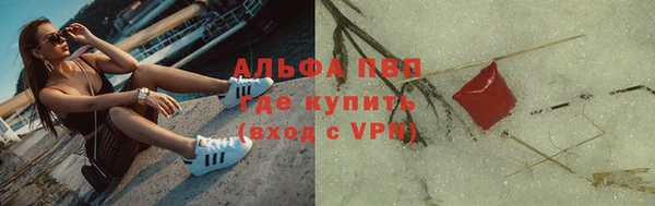 PSILOCYBIN Абдулино