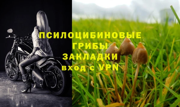 PSILOCYBIN Абдулино