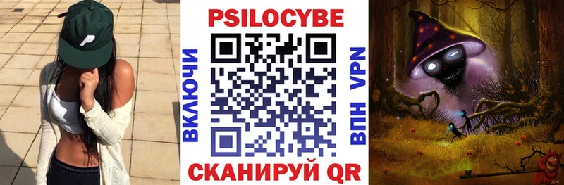 цены Ярославль Псилоцибиновые грибы GOLDEN TEACHER