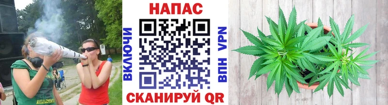 Канабис конопля  Ярославль 